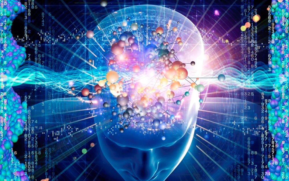 brain