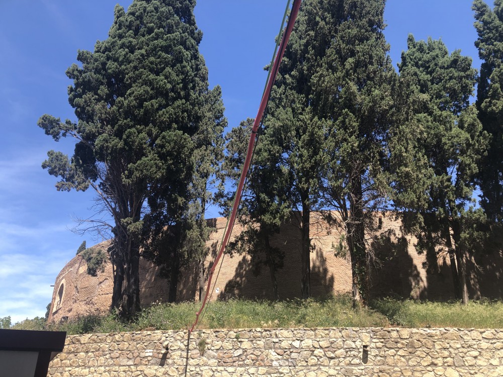 I cipressi italici attorno al Mausoleo