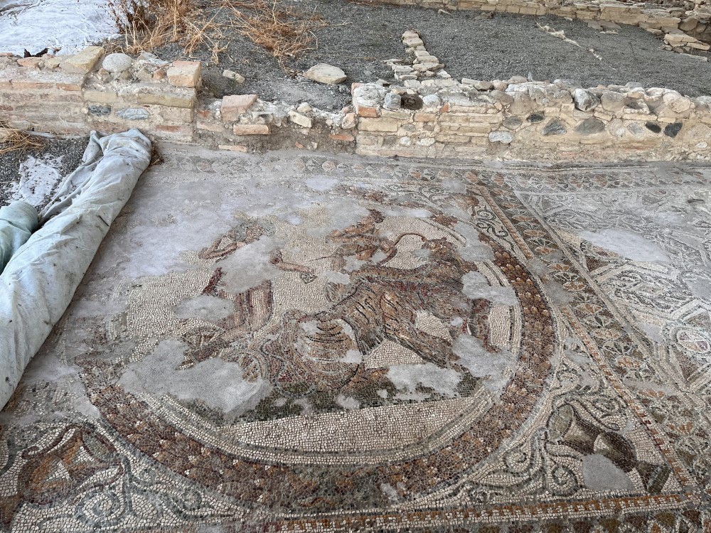 Rosone dii un ambeite termale appena scavato con rappresentato Dioniso in cocchio trinato da fiere