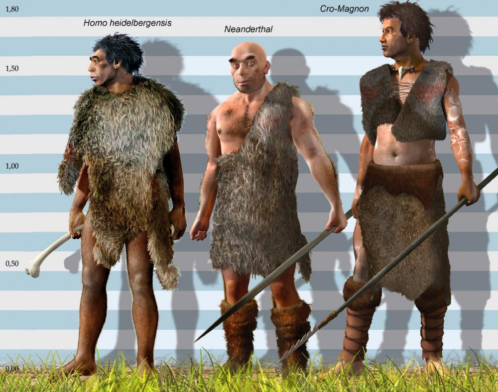 image_5897e-Homo-heidelbergensis